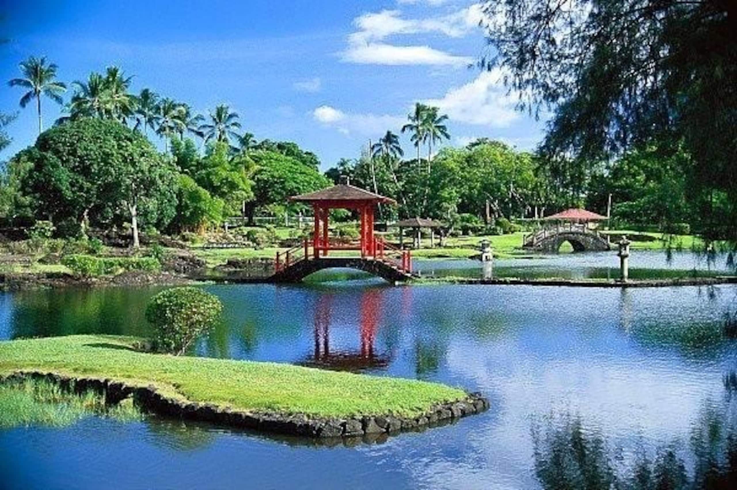 Home in Keaau · ★4.96 · 2 bedrooms · 3 beds · 1 private bath - Image 61