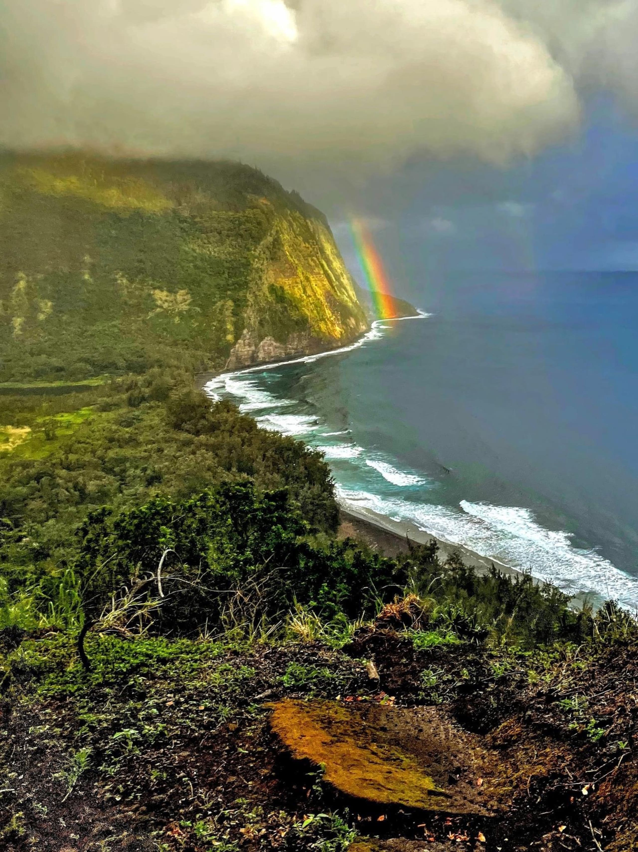 Home in Keaau · ★4.96 · 2 bedrooms · 3 beds · 1 private bath - Image 54