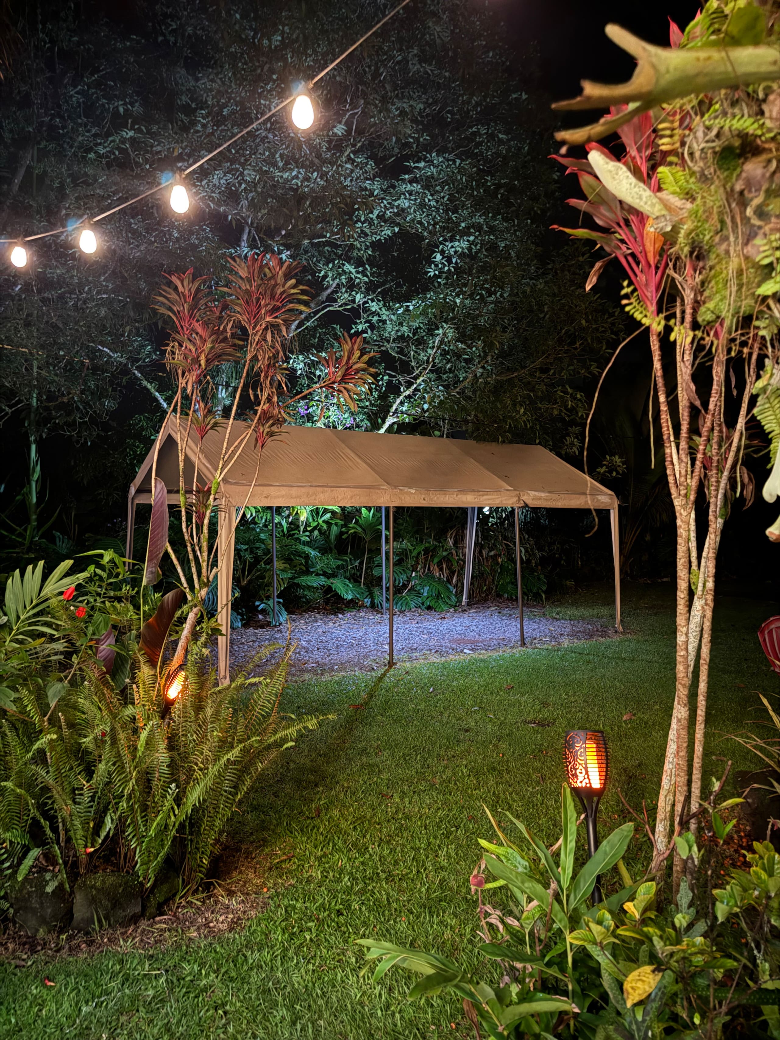 Home in Keaau · ★4.96 · 2 bedrooms · 3 beds · 1 private bath - Image 4