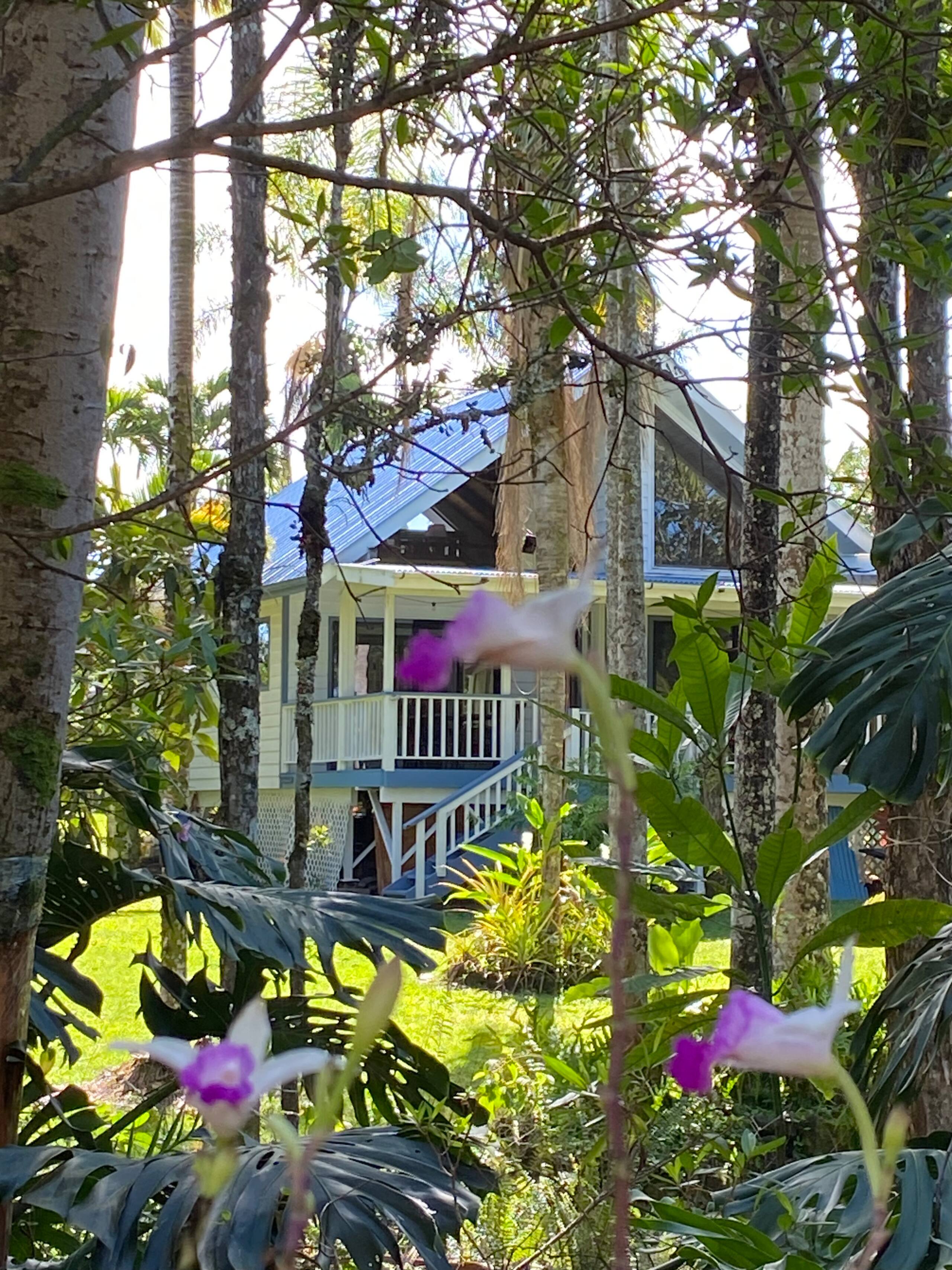 Home in Keaau · ★4.96 · 2 bedrooms · 3 beds · 1 private bath - Image 43