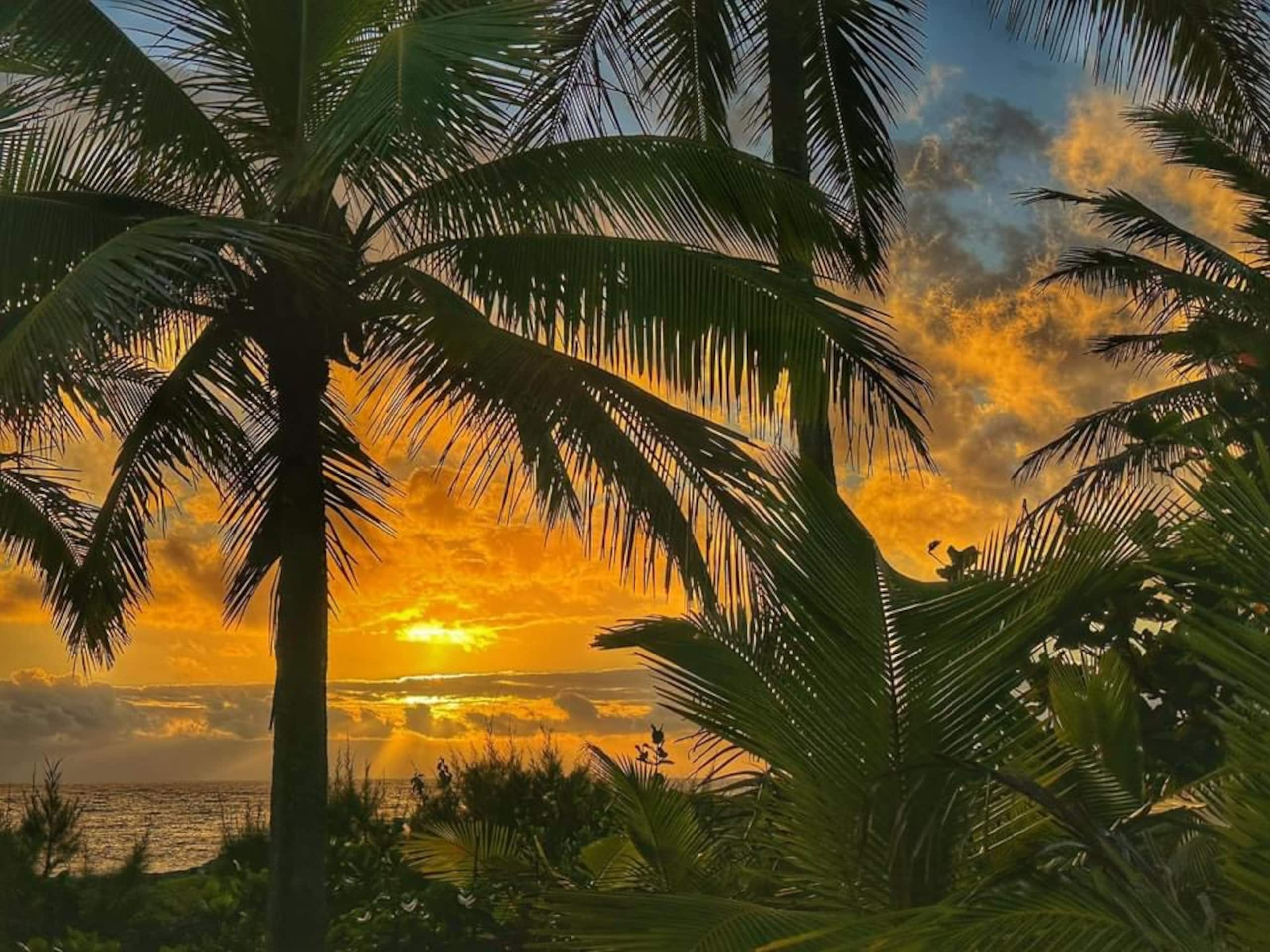 Home in Keaau · ★4.96 · 2 bedrooms · 3 beds · 1 private bath - Image 53