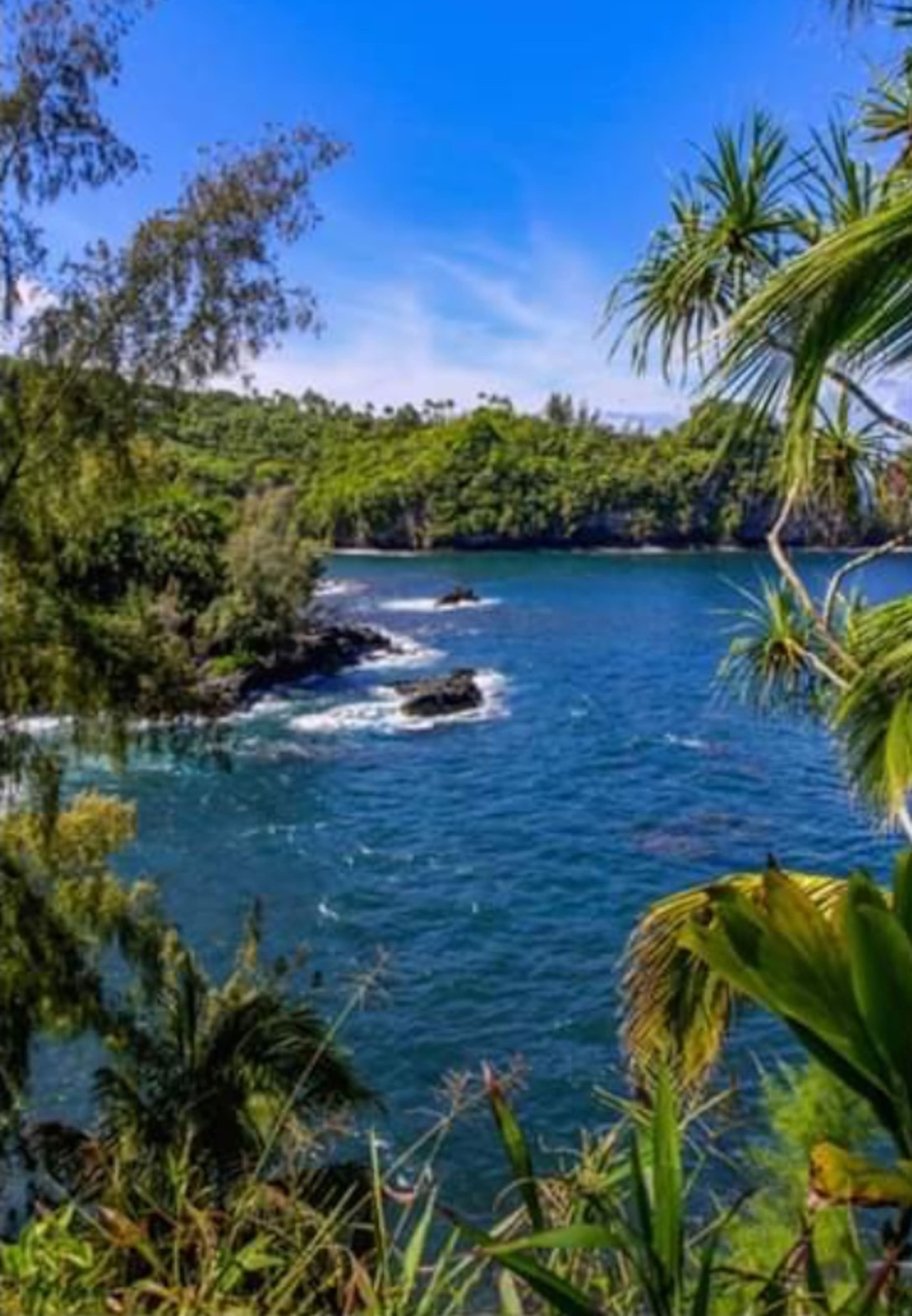 Home in Keaau · ★4.96 · 2 bedrooms · 3 beds · 1 private bath - Image 62