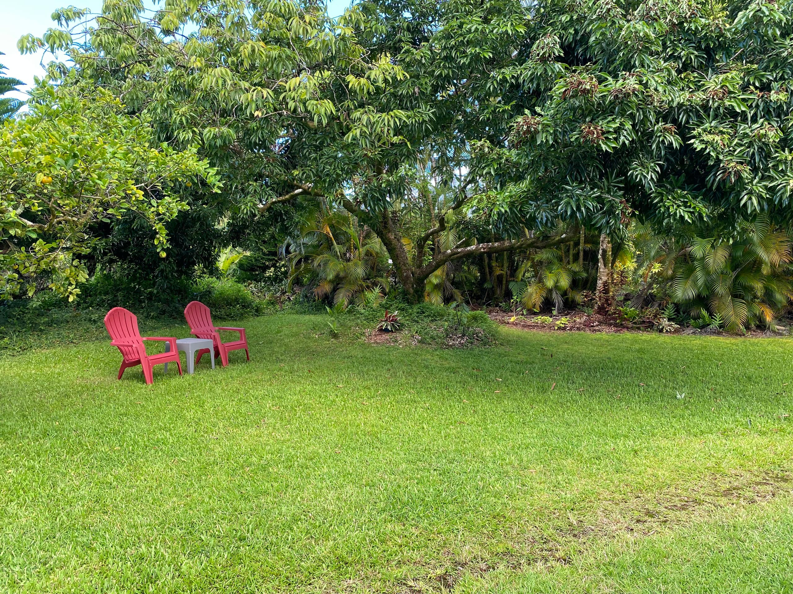 Home in Keaau · ★4.96 · 2 bedrooms · 3 beds · 1 private bath - Image 35