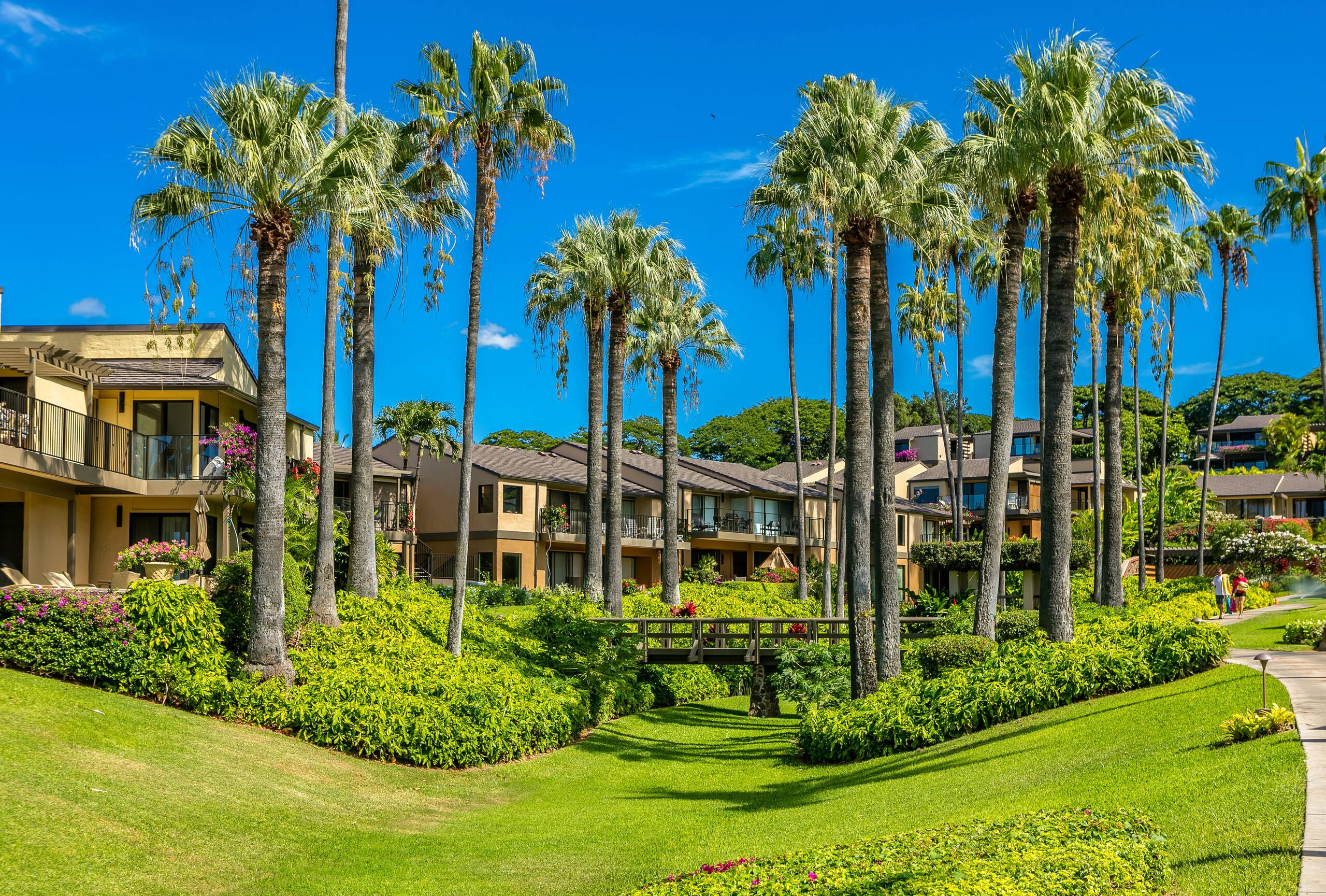 Condo in Wailea · ★4.67 · 2 bedrooms · 3 beds · 2 baths - Image 59