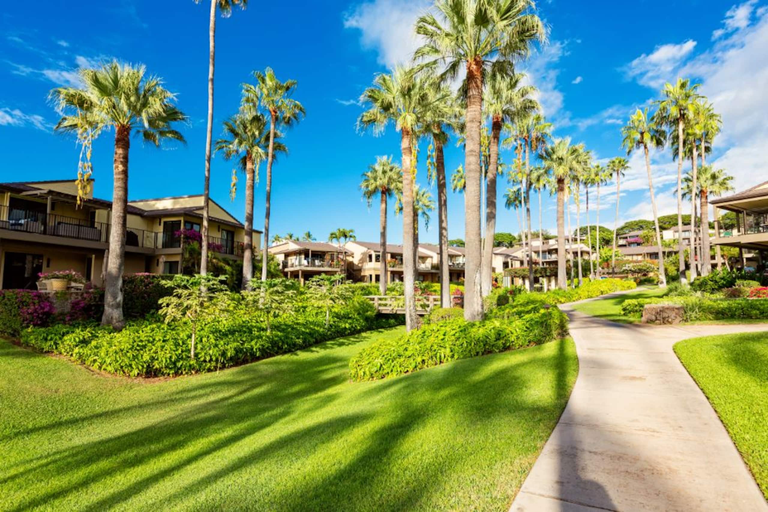 Condo in Wailea · ★4.67 · 2 bedrooms · 3 beds · 2 baths - Image 39