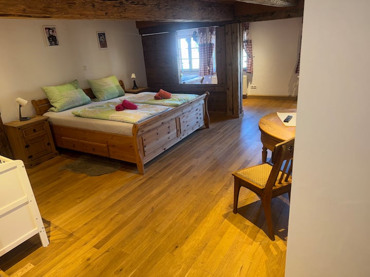 Spacious apartment 4-10 people 2 bathrooms Feldberg