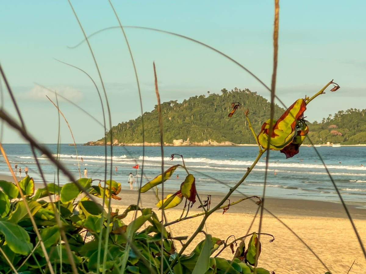 A view of the beach framed by greenery that highlights the soft curves of the shoreline. In the distance, a lush island can be seen, surrounded by the ocean. Waves gently lap against the sand, creating a serene coastal scene.