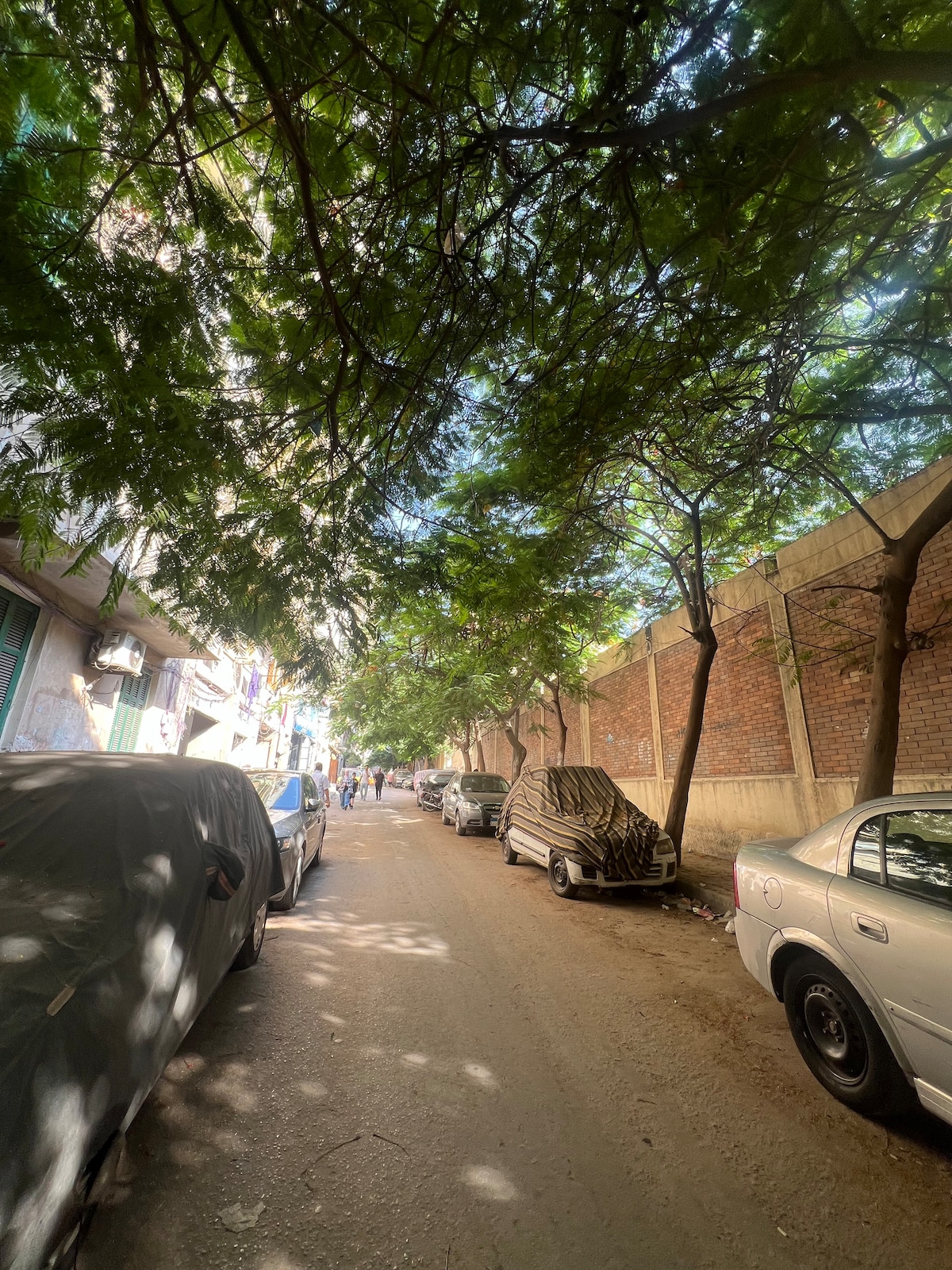 A tree-lined street is visible, providing natural shade along the roadway. Parked vehicles are present on both sides, with some covered by fabric. The scene conveys a quiet neighborhood atmosphere, framed by a mix of residential buildings and a brick wall.