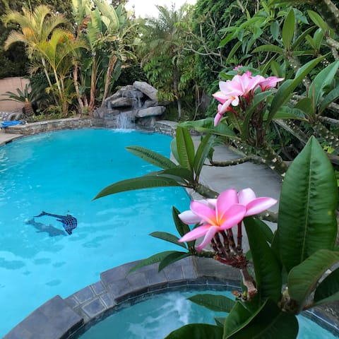 Aloha Disney! Lush Tropical Pool, Safe Quiet Area