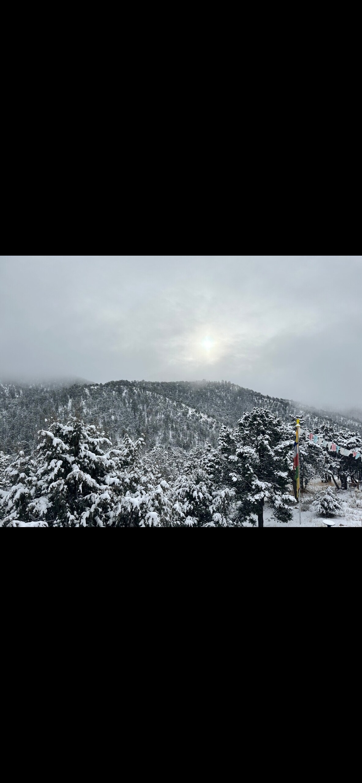 A winter scene showcases snow-covered trees and distant mountains, with soft sunlight breaking through the clouds. The landscape is adorned with a peaceful, muted color palette, reflecting the serenity of the surrounding nature.