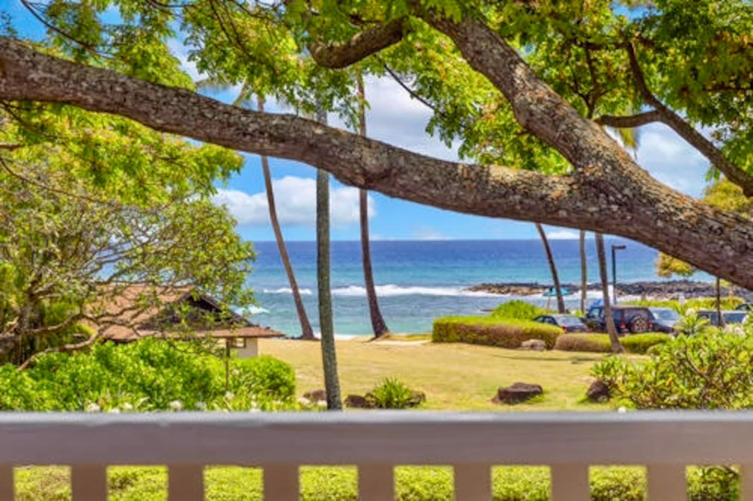 Condo in Koloa · ★4.95 · 1 bedroom · 2 beds · 1 bath - Photo 7