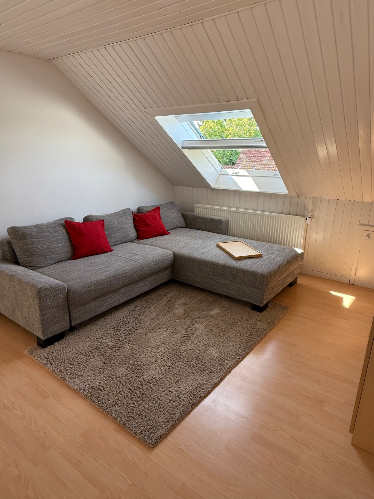 A comfortable corner sofa with red cushions is positioned beneath a slanted ceiling. Natural light filters through a skylight, illuminating the light-colored walls and warm wooden floor. A small rug is centered on the floor, adding a cozy touch to the space.