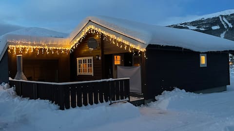 Top performing Airbnb: Cabin centrally located in Bjorli in Lesja