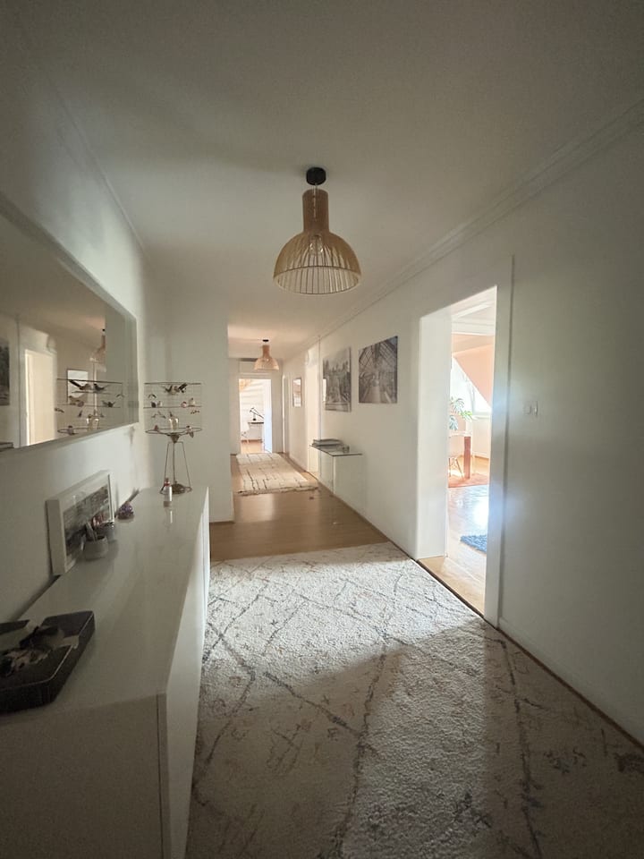 Duplex Strasbourg - Strasbourg