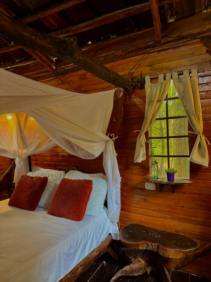 Habitación 1
