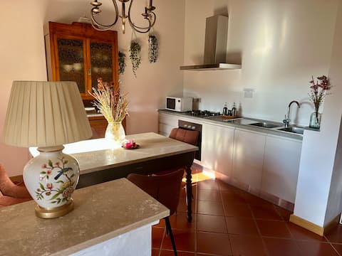 Proprietà Airbnb di successo: Farmhouse with pool in Chianti a Greve In Chianti