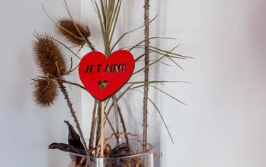 ห้องนั่งเล่น