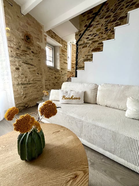 Quiet house, town center, 20' Puy du Fou
