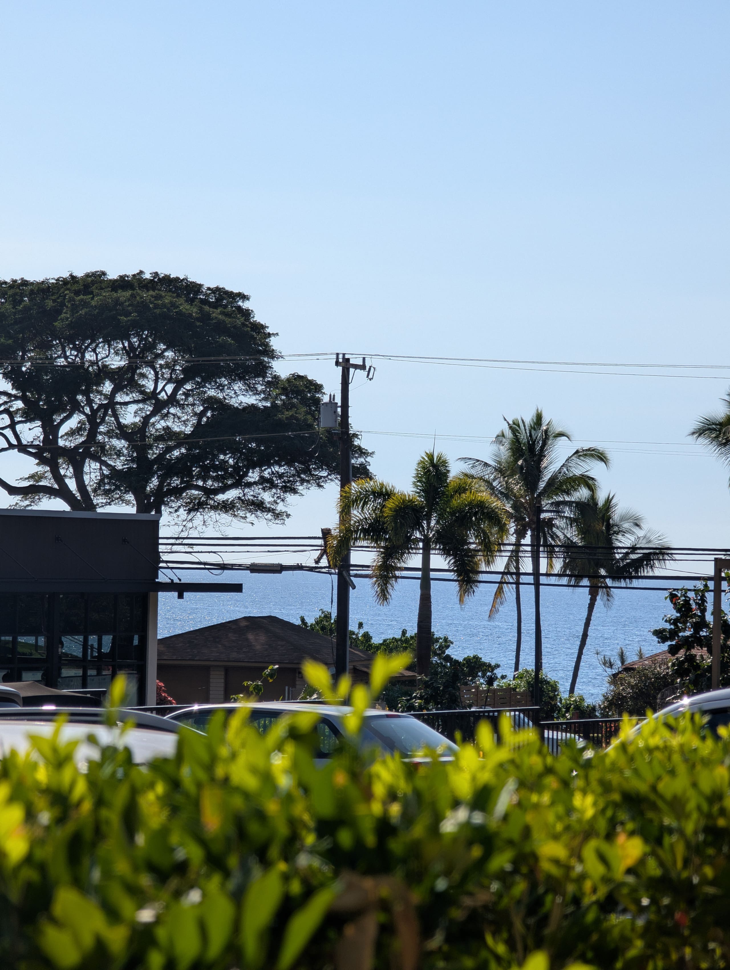 Condo in Kihei · ★4.89 · 3 bedrooms · 3 beds · 3 private baths - Image 37