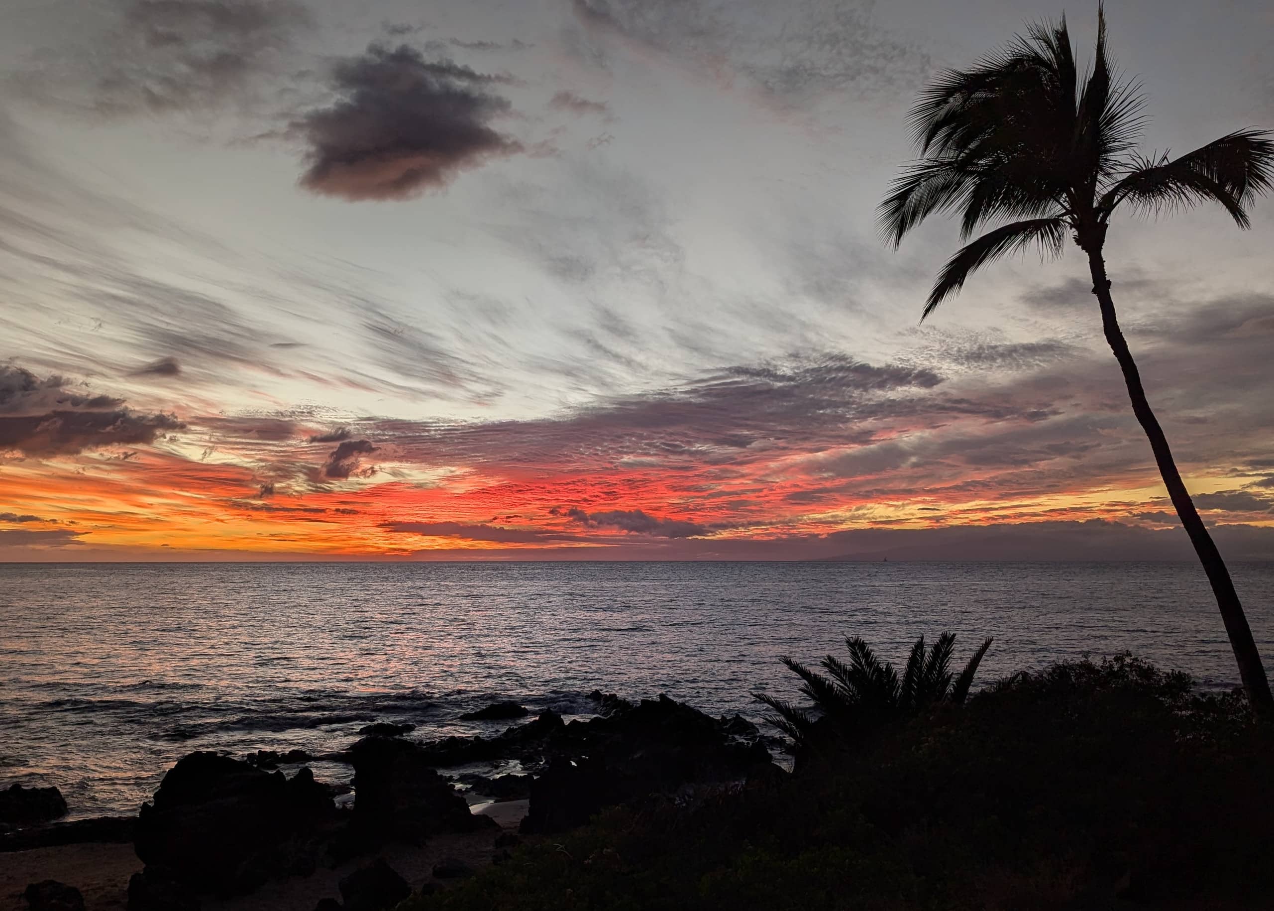 Condo in Kihei · ★4.89 · 3 bedrooms · 3 beds · 3 private baths - Image 43