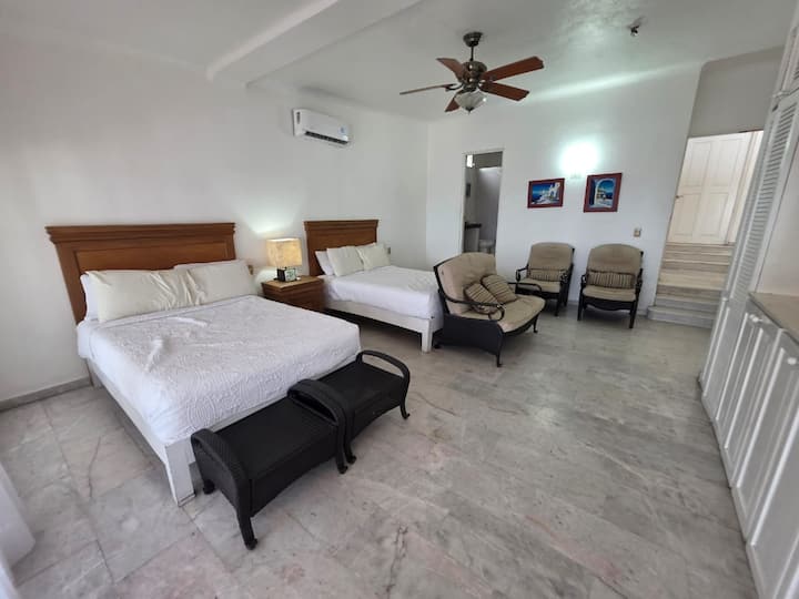 Habitación 1