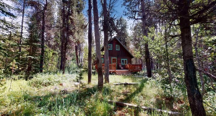 Pet Friendly | 29 Mi To Ynp | Atv Trails & Views - Island Park, ID