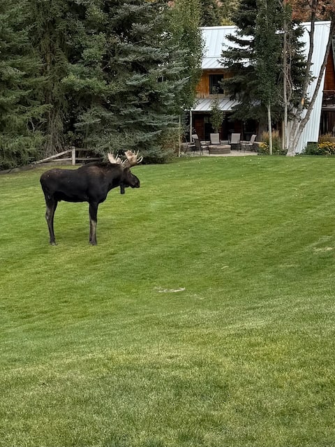 Sundance Chalet Mountain Cottage