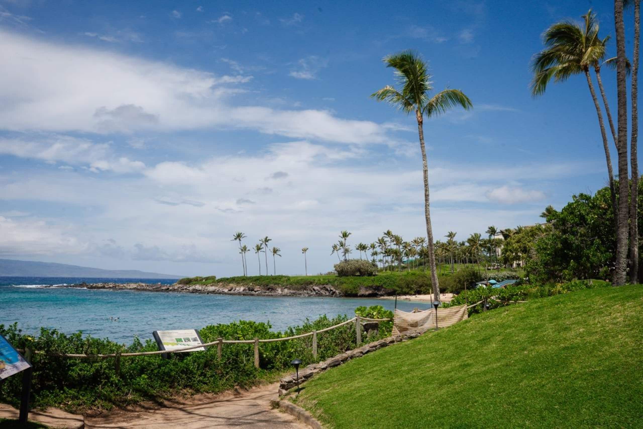 Condo in Lahaina · ★5.0 · 2 bedrooms · 3 beds · 2 baths - Image 85