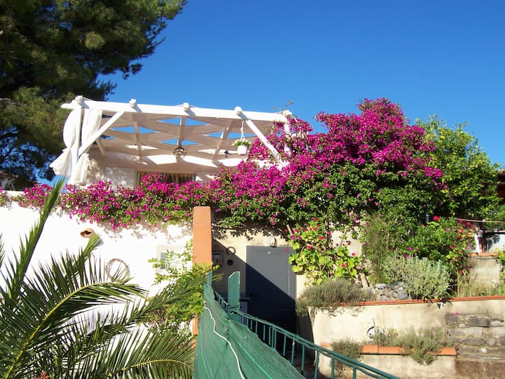 Maison à Louer - Ile Rousse - Bord De Mer - L'Île-Rousse