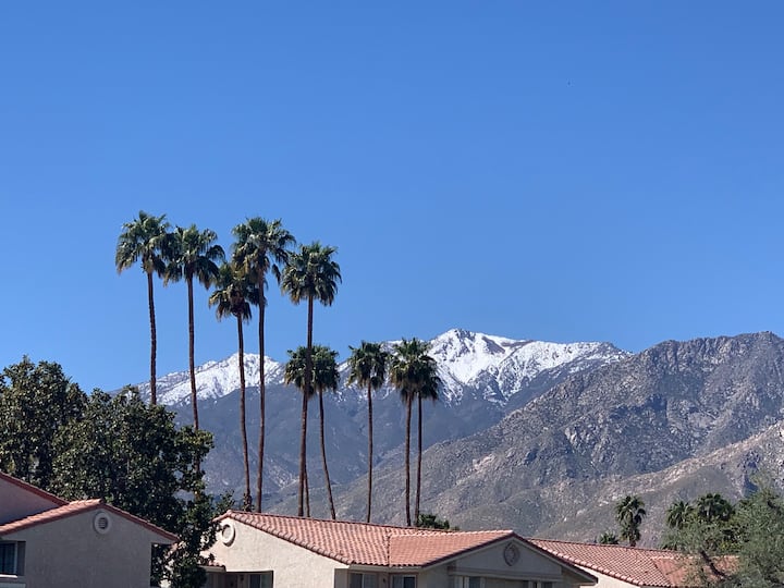 Comfy, Clean Palm Springs Condo - Palm Springs, CA