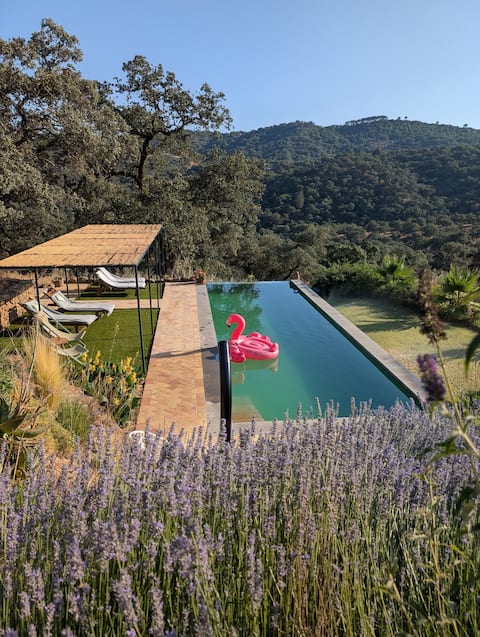 Infinity Pool | 360° Views | Modern Interior