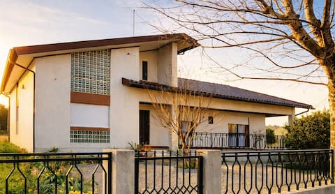 AUNT'S HOUSE - POUTENA