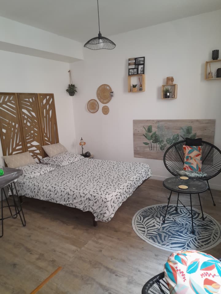 Studio 23 M2 Prox Cv/ Pk Gratuit/ Au Calme - Montpellier