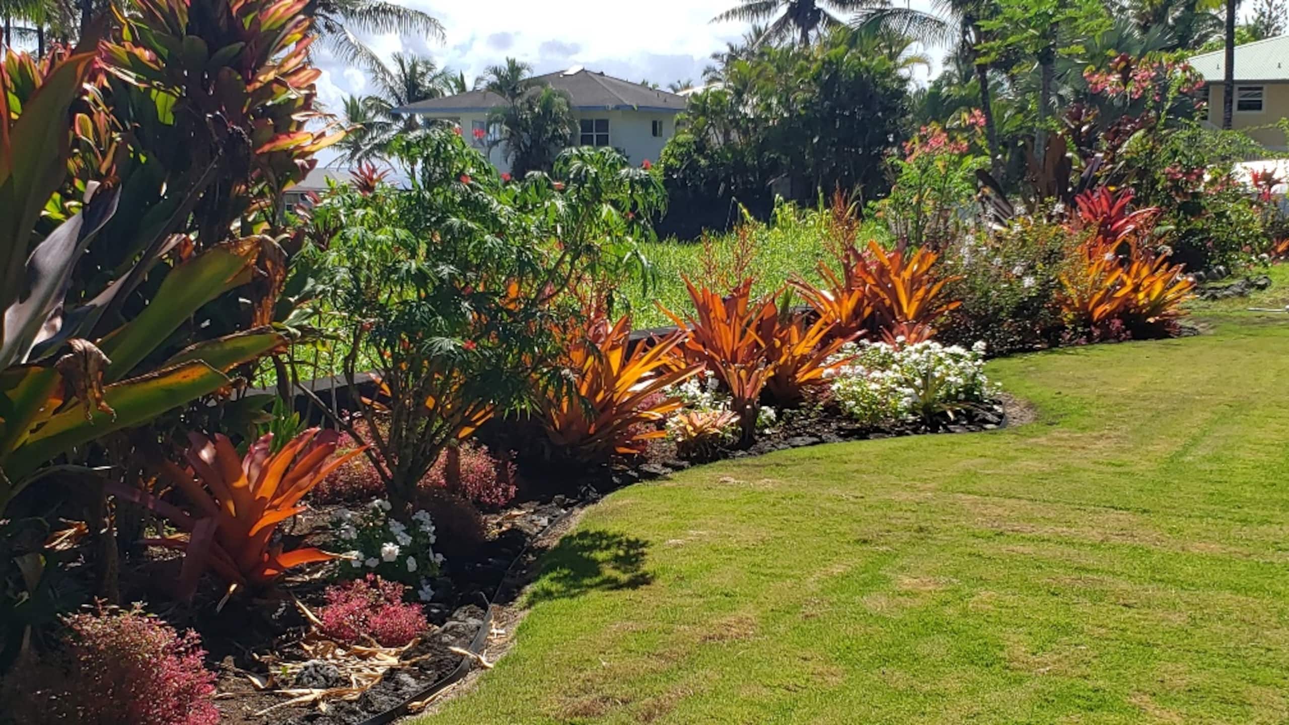 Home in Pahoa · ★4.98 · 2 bedrooms · 3 beds · 2 private baths - Image 17