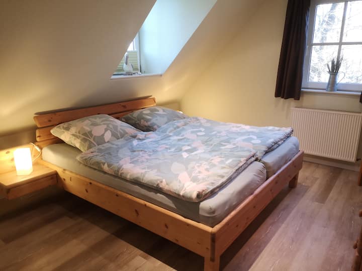 Habitación 1