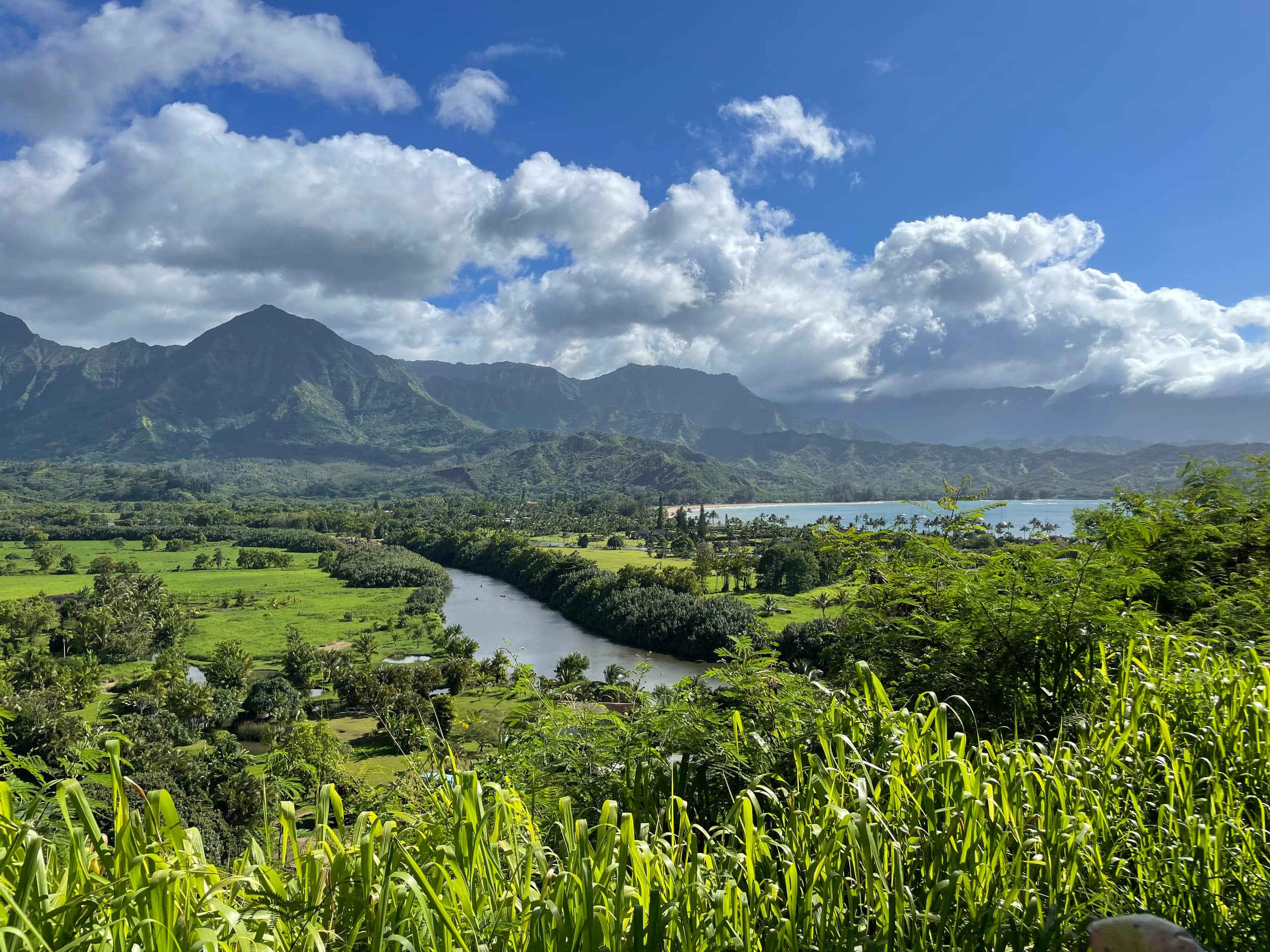 Condo in Princeville · ★4.85 · 1 bedroom · 2 beds · 1 private bath - Image 29