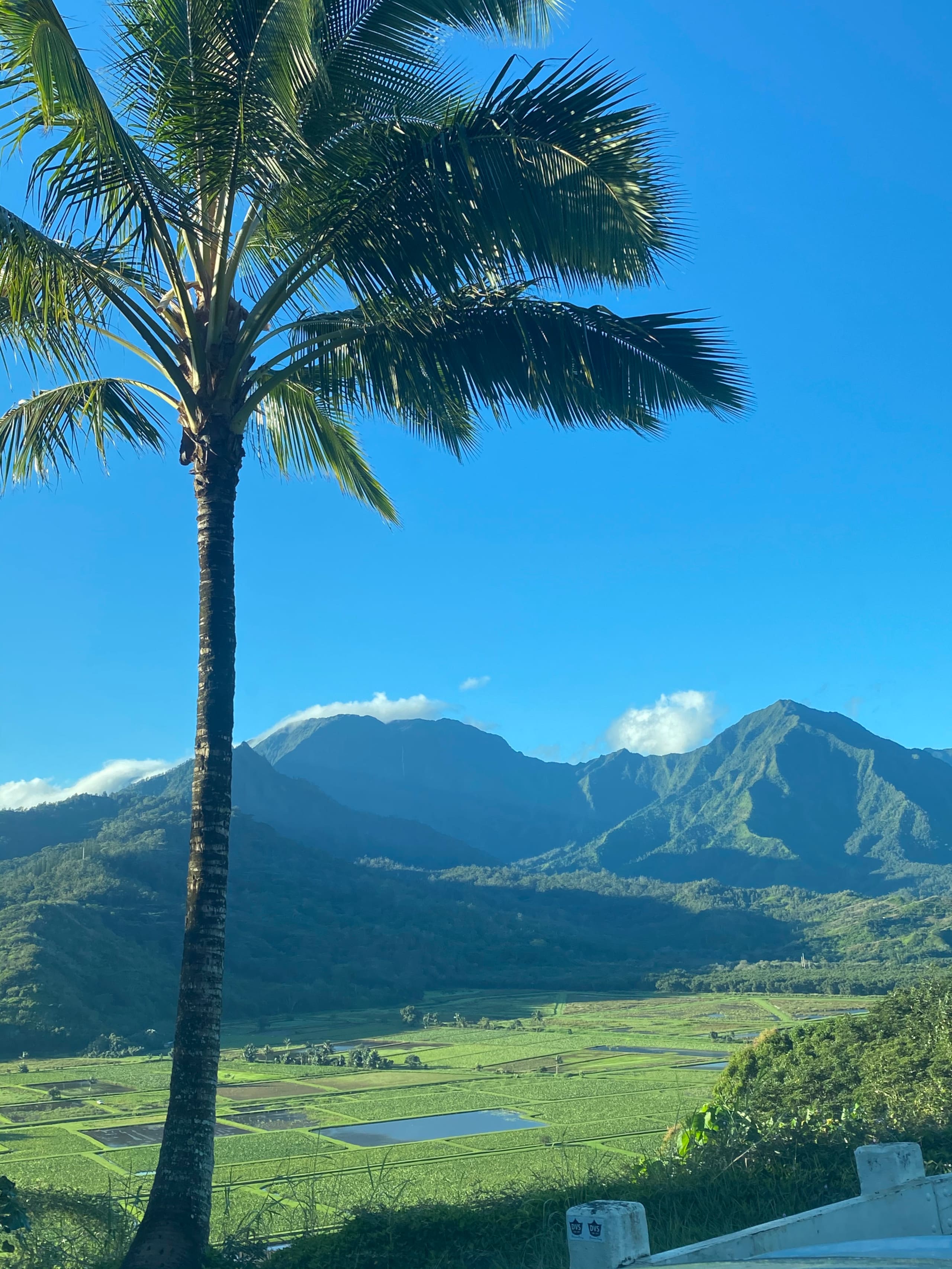 Condo in Princeville · ★4.85 · 1 bedroom · 2 beds · 1 private bath - Image 30