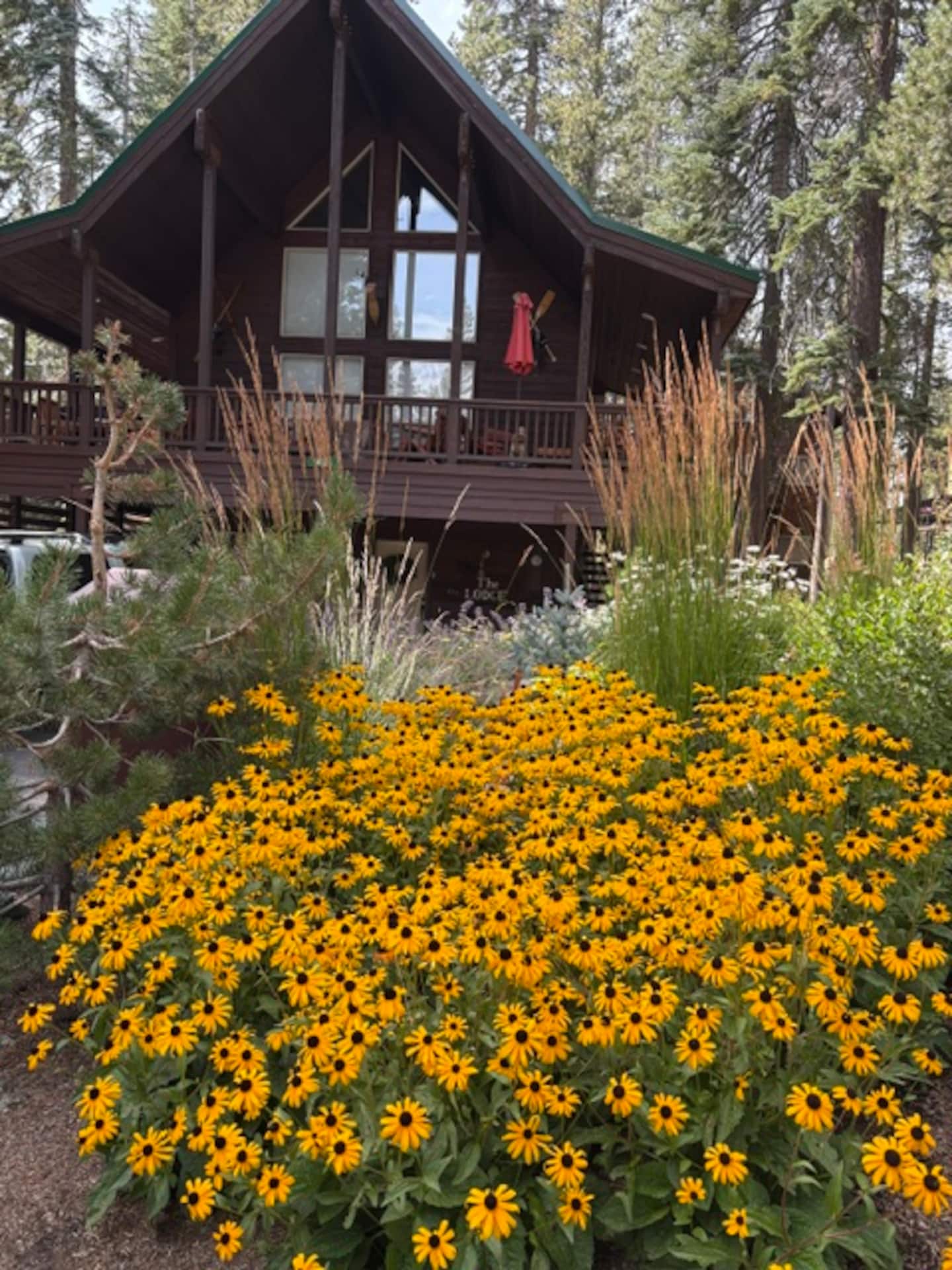 The Lodge, a mountain cabin among pines in Serene Lakes, California