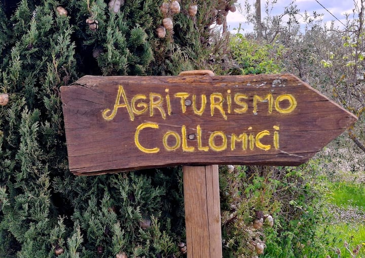 Agriturismo Collomici
San Casciano Dei Bagni - San Casciano dei Bagni