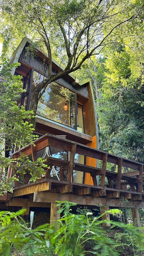 Modern House in Valdivian Forest · Hot Tub