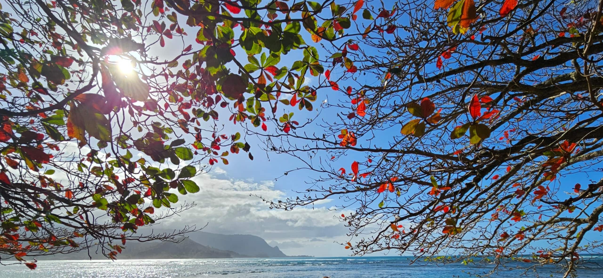 Condo in Princeville · ★4.85 · 3 bedrooms · 3 beds · 2 private baths - Image 3