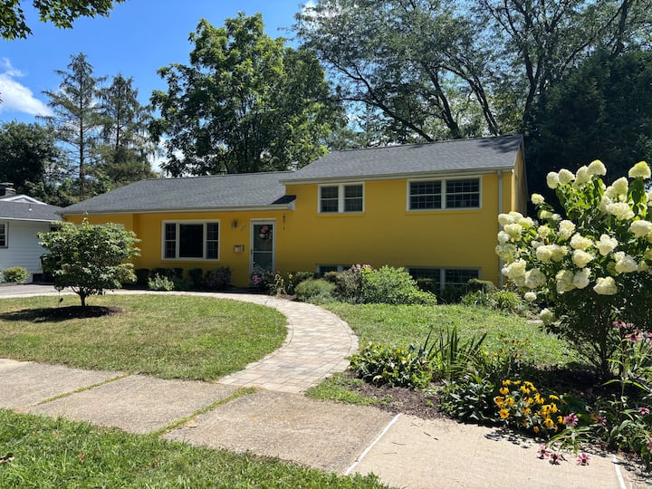 Beautiful Home- Walking Distance To Everything! - State College, PA