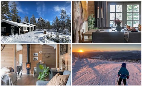 Family cabin near ski, alpine, sledding and zipline