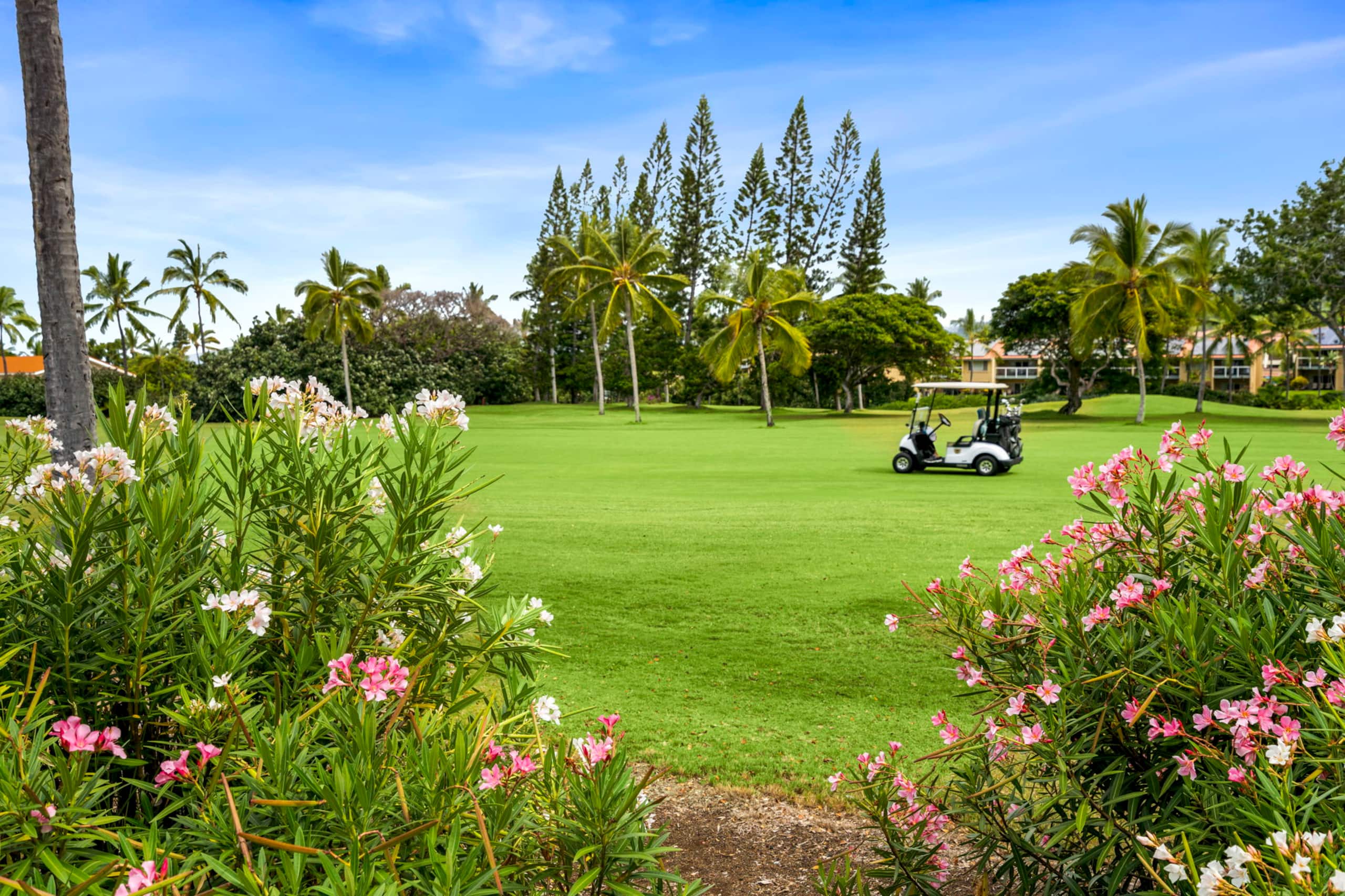 Condo in Kailua-Kona · ★4.82 · 3 bedrooms · 4 beds · 2 baths - Image 51