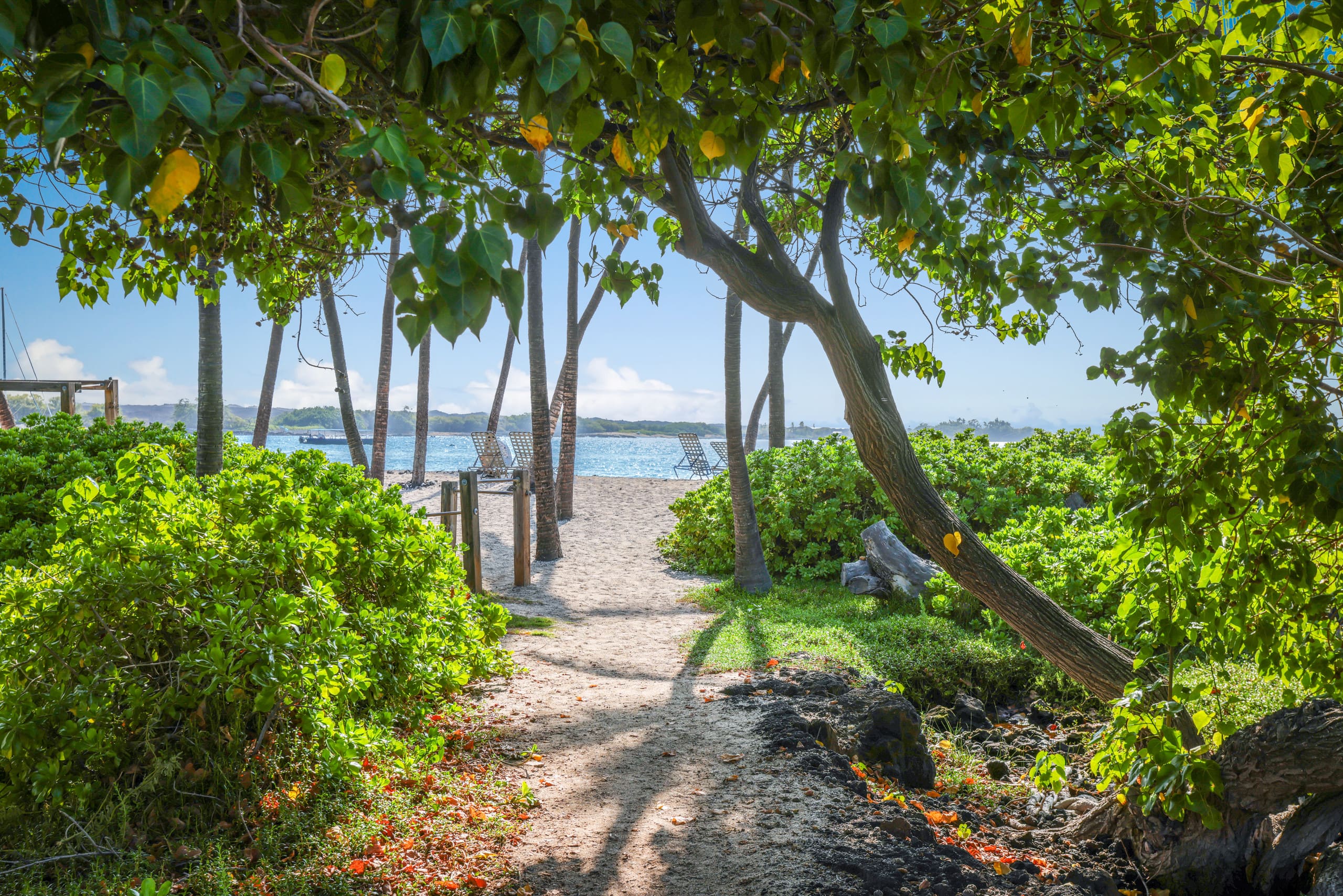 Villa in Waikoloa Village · ★4.98 · 2 bedrooms · 4 beds · 2 baths - Photo 75