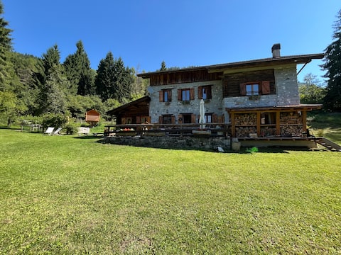 The farm in the woods a stone's throw from the village