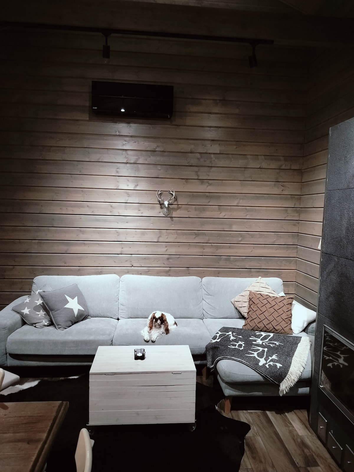 A comfortable seating area is presented, featuring a soft gray couch adorned with decorative pillows. A small wooden table is positioned in the center. A relaxed dog rests on the couch while wooden wall panels create a cozy, natural ambiance.