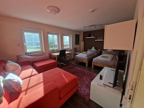Cozy granny apartment with private entrance