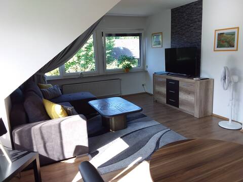 Quiet apartment near the town center