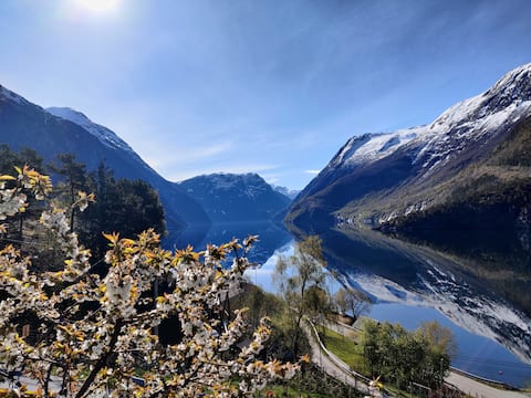 Apartment with fjord view
